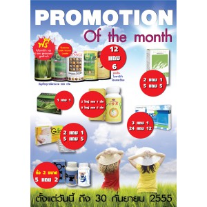 โปรโมชั่น เดือนกันยายน 2555 Double Bonus PG&P